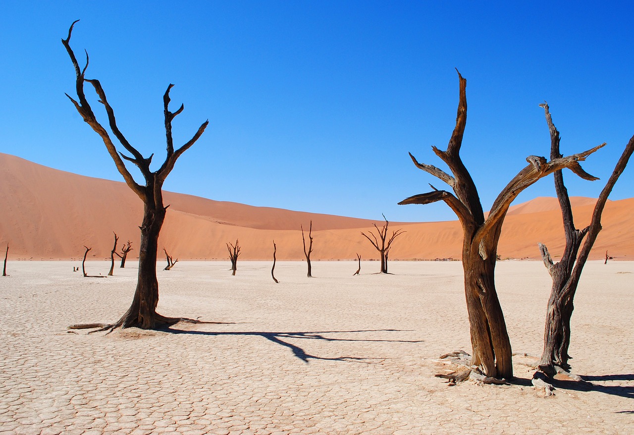 Deadvlei, Namibija, Afrika, Dykuma, Sausra, Medis, Miręs Vlei, Smėlis, Sausas, Sudegino