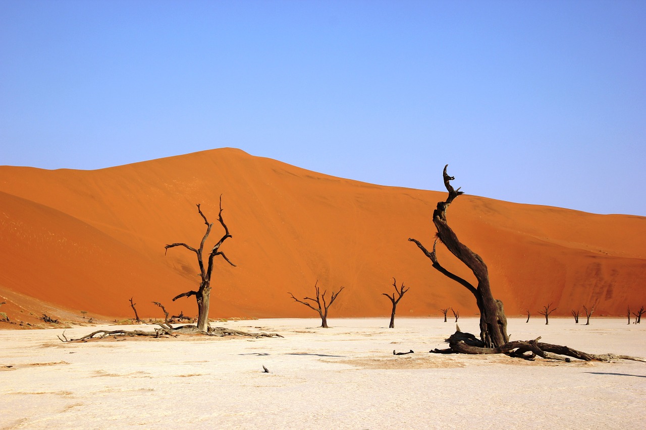 Nežinomas, Namibija, Dykuma, Sausas, Smėlio, Smėlio Kopa, Wüstentour, Negyvas Augalas, Heiss, Nacionalinis Parkas