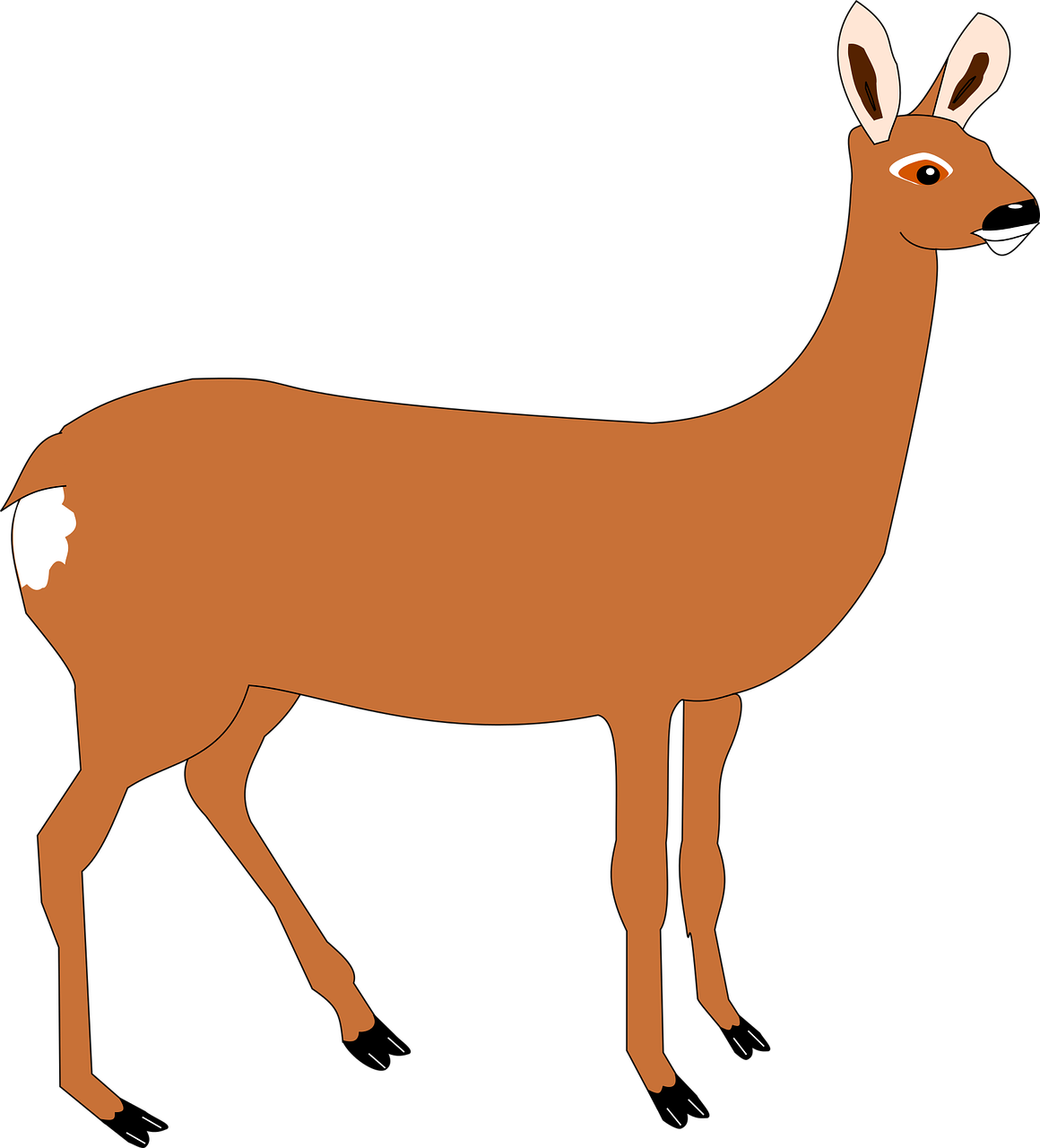 Elnias, Miškas, Žinduolis, Gamta, Gyvūnas, Miško Gyvūnas, Fauna, Maitinimas, Roebuck, Antler