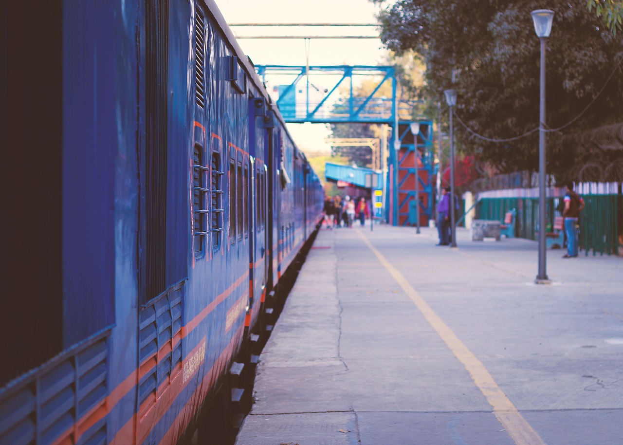 Delhi, Indija, Traukinys, Traukinių Stotis, Kelionė, Keliautojas, Keliauti, Vip Traukinys, Nemokamos Nuotraukos,  Nemokama Licenzija