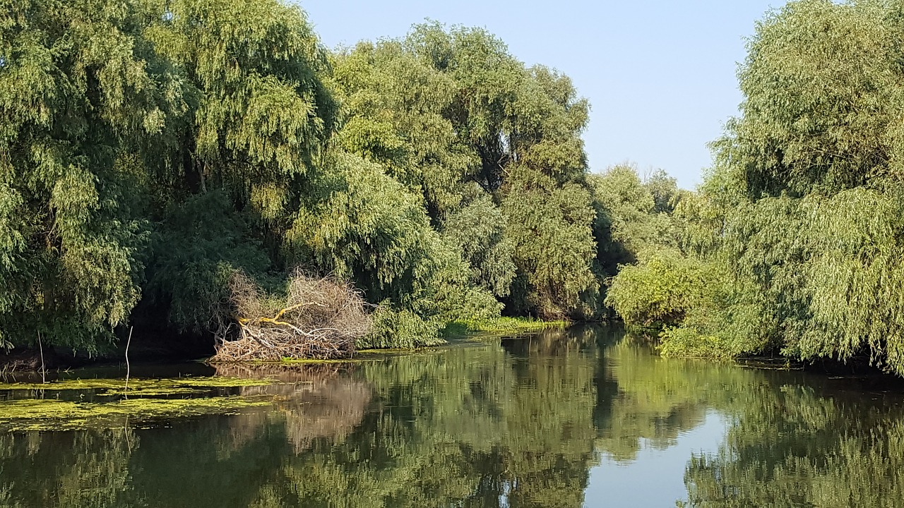 Delta, Romanija, Danube, Gamta, Augmenija, Natūralus, Upė, Vanduo, Nemokamos Nuotraukos,  Nemokama Licenzija