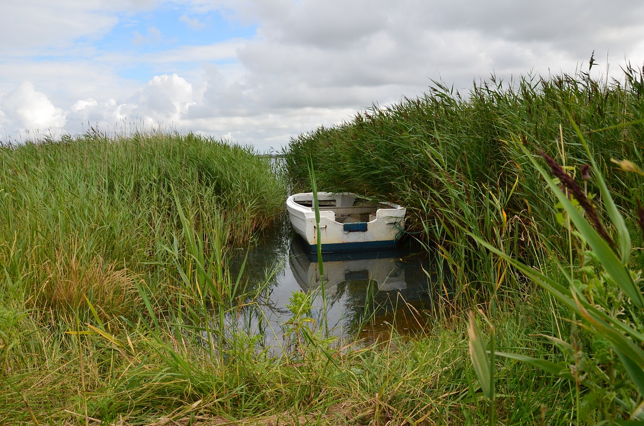 Denmark, Nissum Fjord, Boot, Fjordas, Gamta, Šiaurės Jūra, Šventė, Nemokamos Nuotraukos,  Nemokama Licenzija