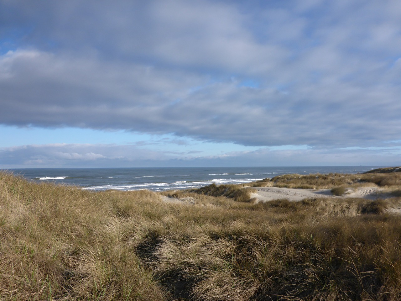 Denmark, Henne Strand, Kopos, Kranto, Jūra, Nemokamos Nuotraukos,  Nemokama Licenzija