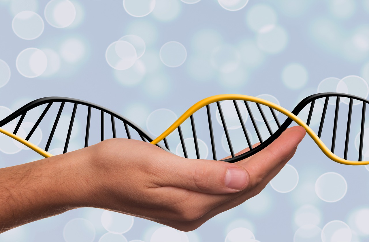 Dna, Deoksiribonukleorūgštis, Dns, Genetika, Simbolis, Biologija, Tyrimai, Mokslas, Chromosoma, Spiralė