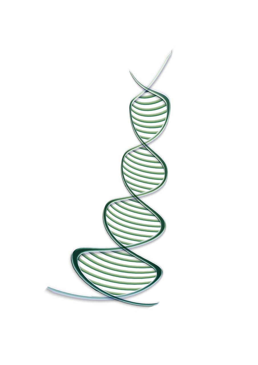 Deoksiribonukleorūgštis, Grafika, Dna, Paveldas, Genas, Genetinė Informacija, Amino Rūgštys, Nemokamos Nuotraukos,  Nemokama Licenzija