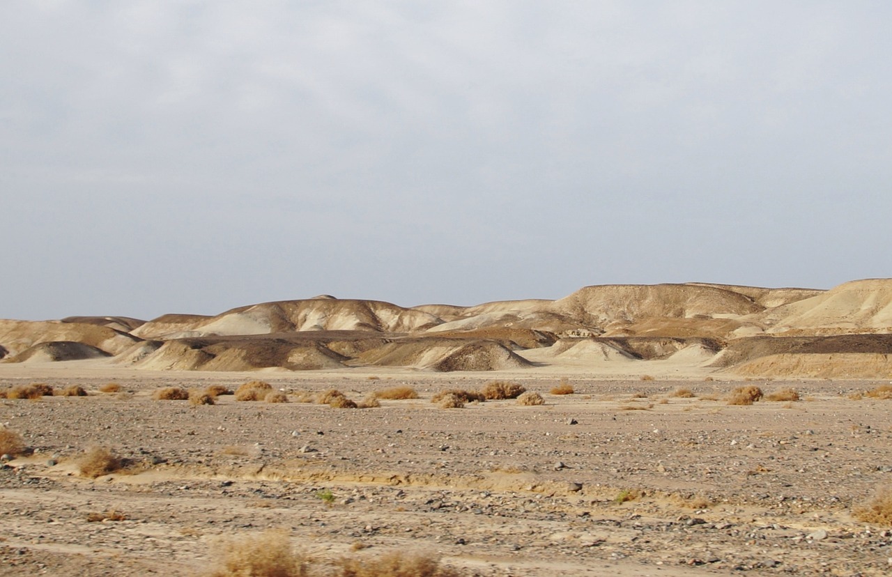 Dykuma, Egiptas, Smėlis, Kopos, Nemokamos Nuotraukos,  Nemokama Licenzija