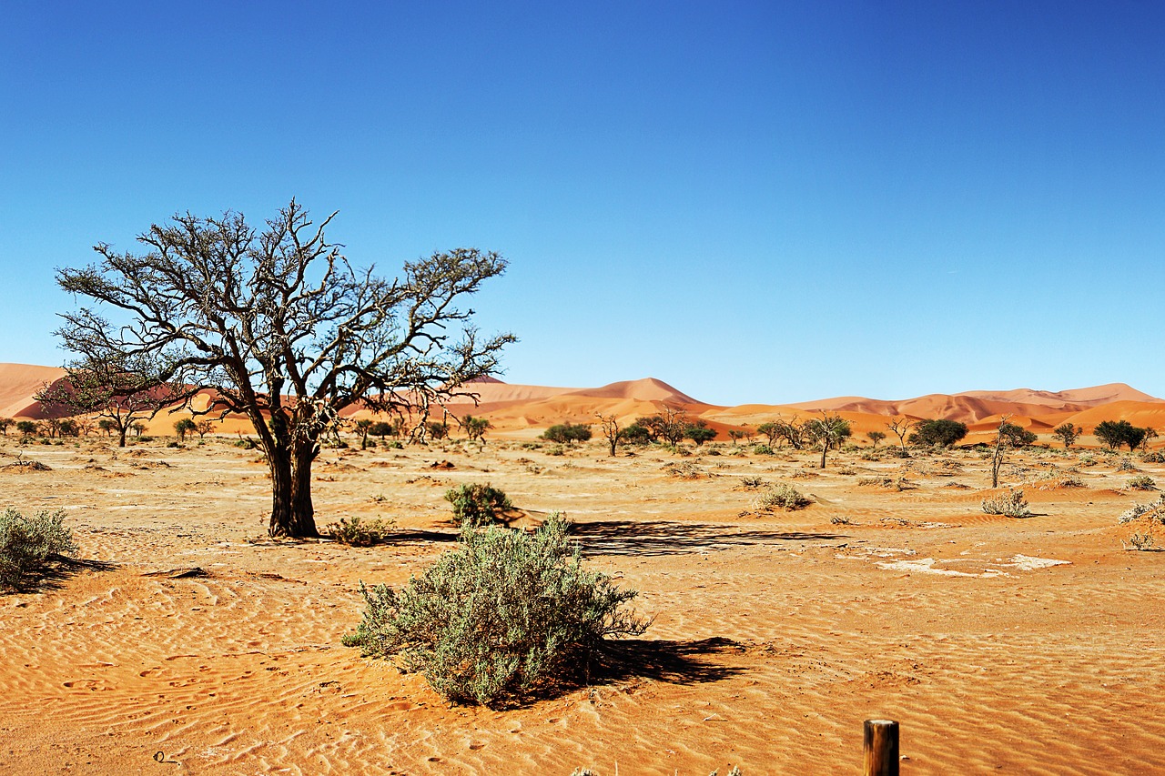 Dykuma, Namibija, Kopos, Smėlis, Smėlio Kopa, Sossusvlei, Gamta, Dykumos Kraštovaizdis, Sausas, Žolės