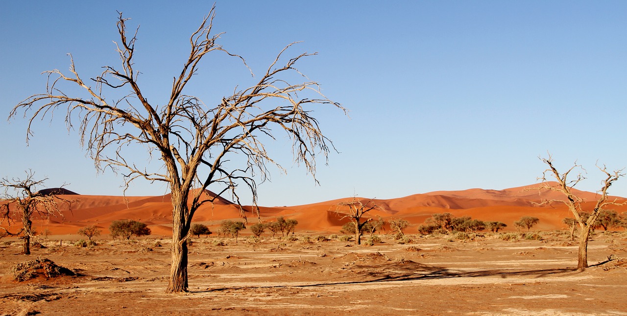 Dykuma, Namibija, Kopos, Afrika, Smėlio Kopa, Sossusvlei, Dykumos Kraštovaizdis, Soussousvlie, Sausas, Mirę Medžiai