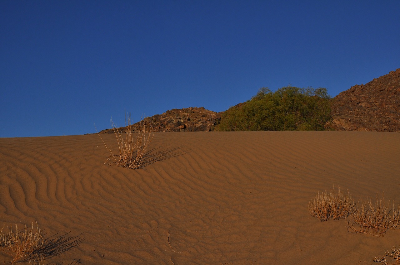 Dykuma,  Sausringos,  Smėlis,  Sausas,  Hill,  Dune,  Vienatvė,  Kraštovaizdis,  Panoraminis,  Nuotykių