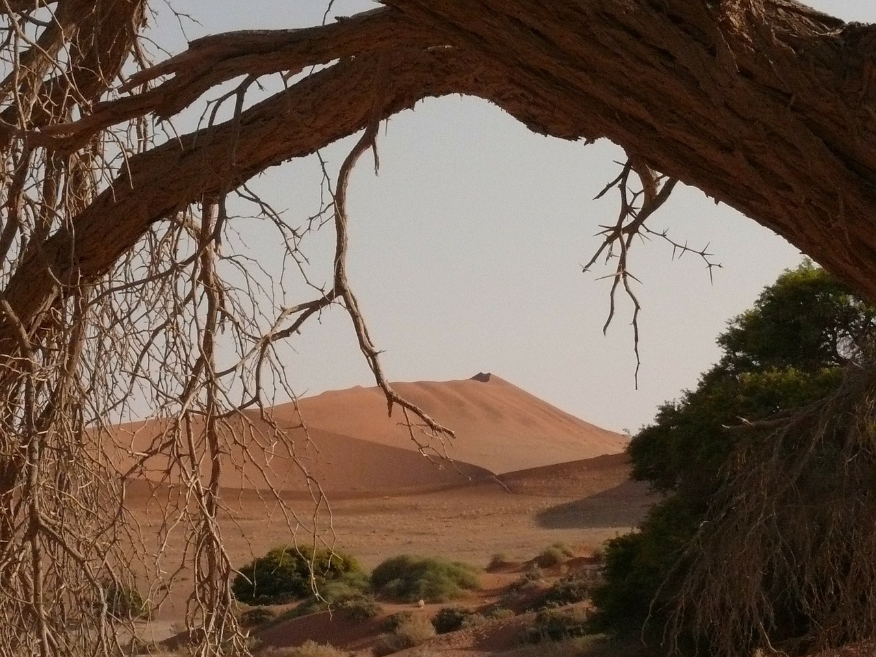 Dykuma, Sahara, Namibija, Sausra, Soussosvlei, Smėlis, Kopos, Nemokamos Nuotraukos,  Nemokama Licenzija