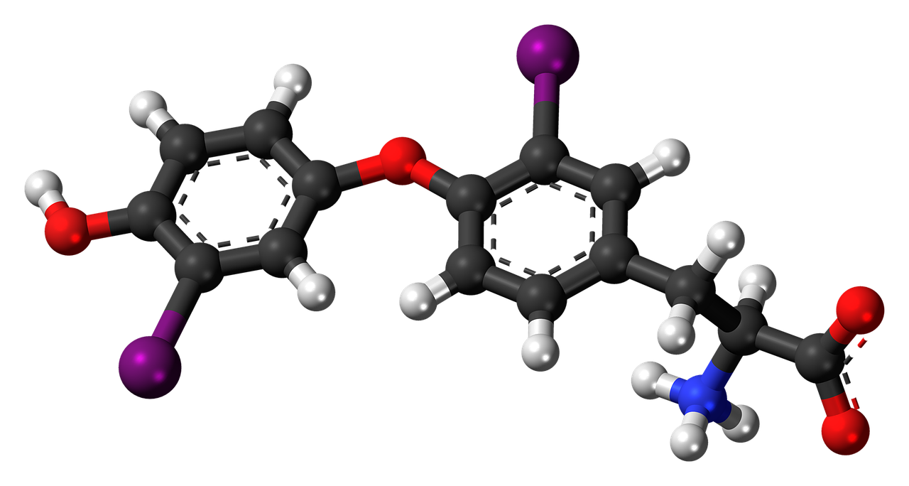 Diiodotironinas,  Molekulė,  Chemija,  Atomai,  Modelis,  Bondings,  Tyrimai,  Junginys,  Aromatiniai, Nemokamos Nuotraukos