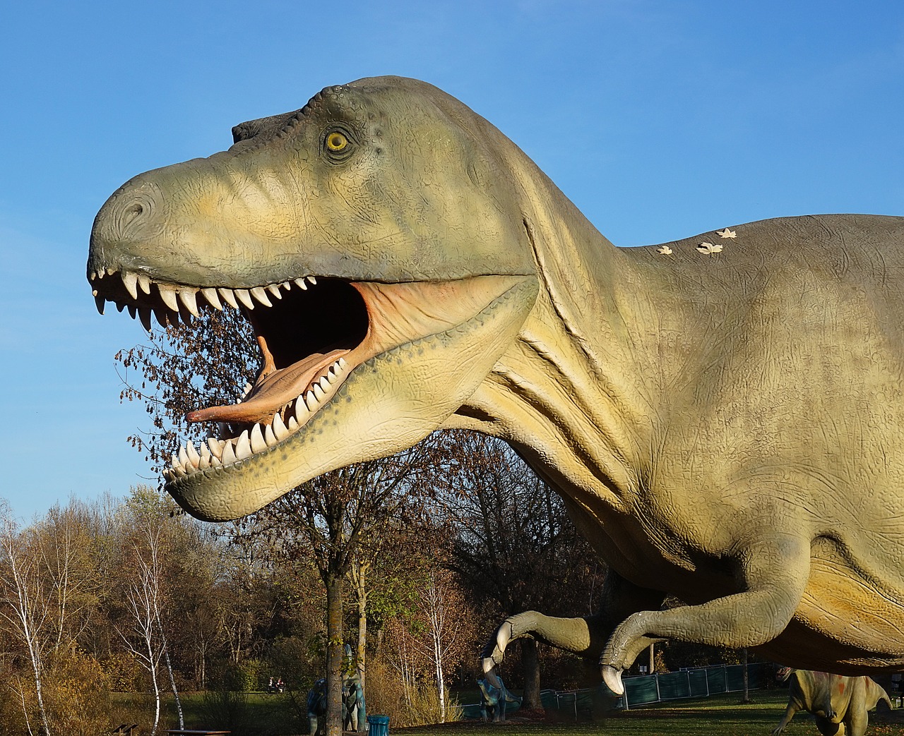 Dinozauras, Dino, Priešistoriniai Laikai, Kopija, Ropliai, Milžiniška Driežas, Hagbard, Muziejus, Urtier, Evoliucija
