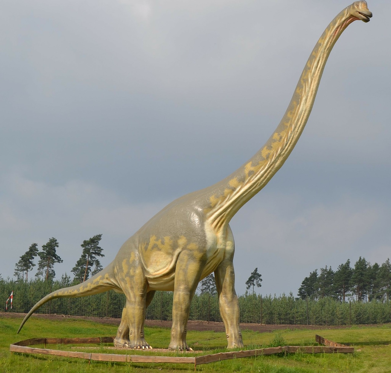 Dinozauras, Brontosaurus, Sauropods, Apatosaurus, Teminis Parkas, Priešistoriniai Laikai, Nemokamos Nuotraukos,  Nemokama Licenzija