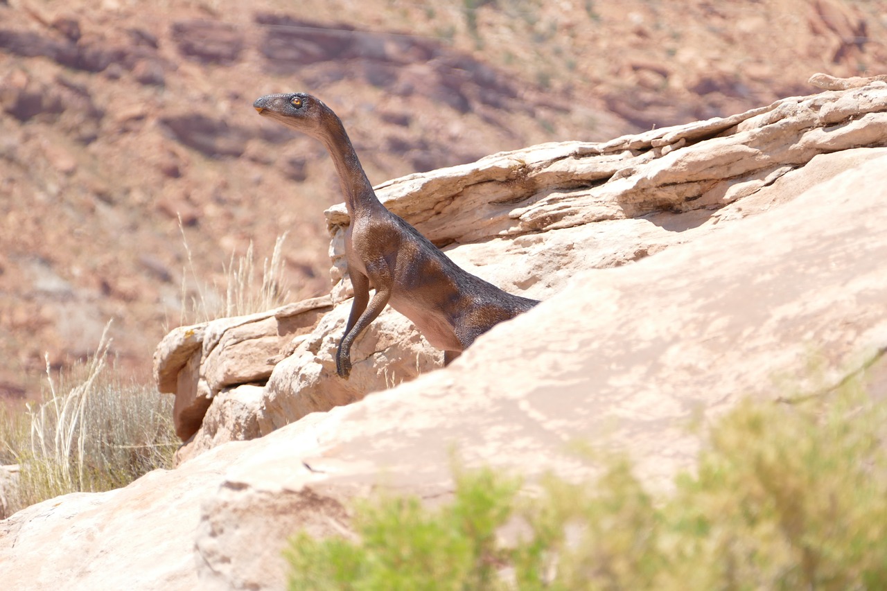 Dinozauras, Utah, Rokas, Iškastinis, Priešistorinis, Usa, Gyvūnas, Paleontologija, Gamta, Kretažiedis