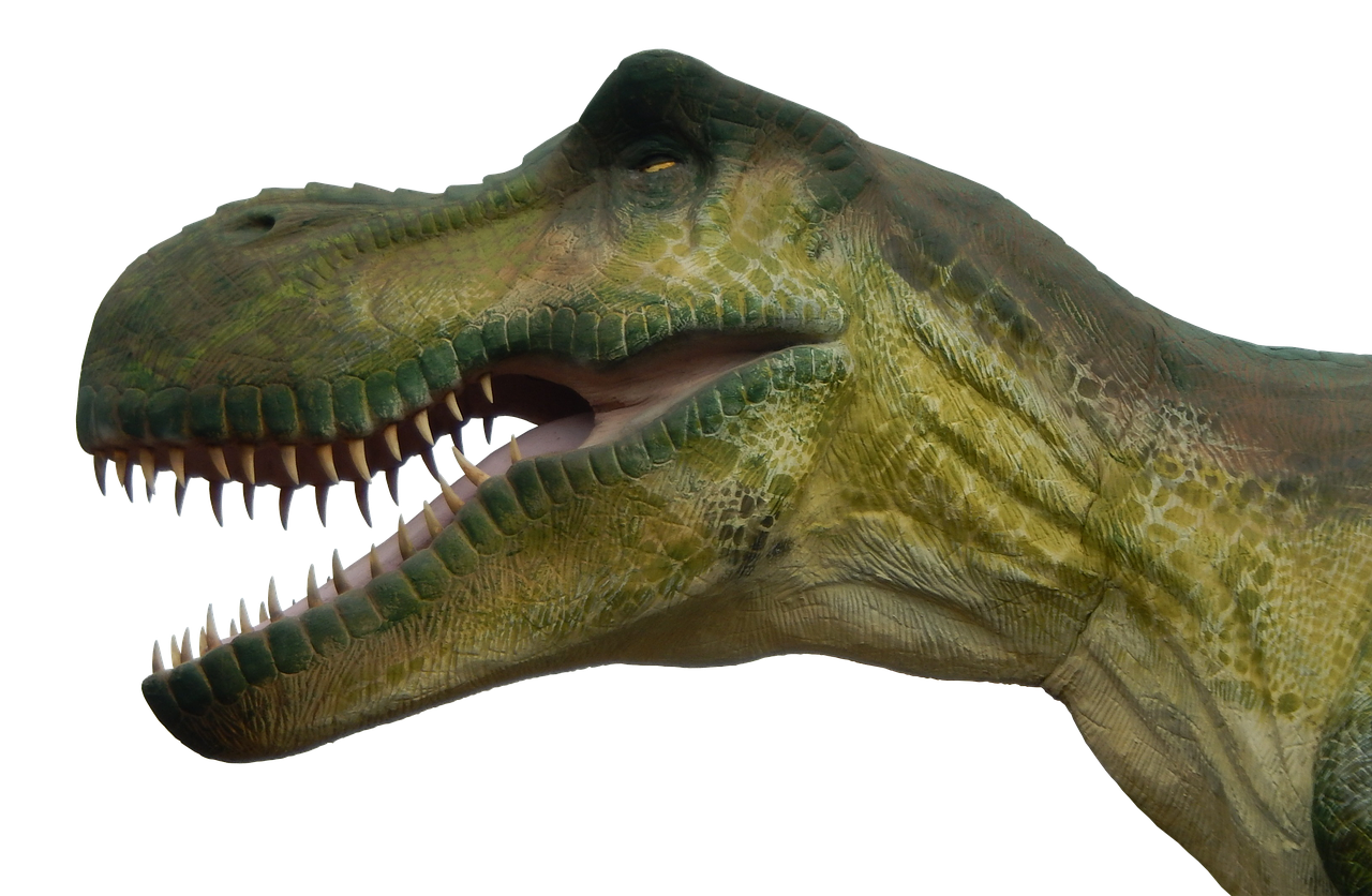 Dinozauras, Priešistoriniai Laikai, Dino, Ropliai, T Rex, Milžiniška Driežas, Mėsėdžiai Dinozaurai, Plėšrūnas, Mėsėdžiai, Tiranozauras