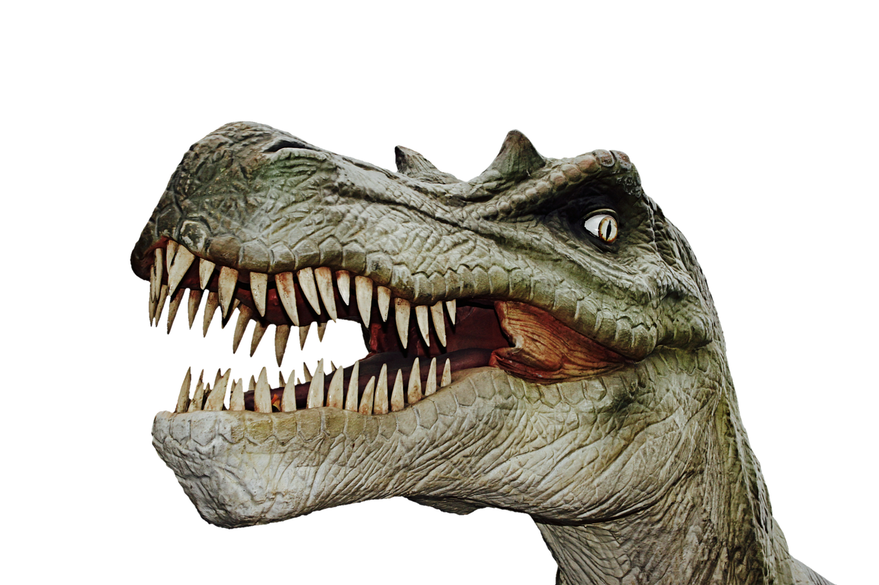Dinozauras, Dino, Milžiniška Driežas, Priešistoriniai Laikai, T Rex, Mėsėdžiai Dinozaurai, Tiranozauras, Plėšrūnas, Hagbard, Mėsėdžiai