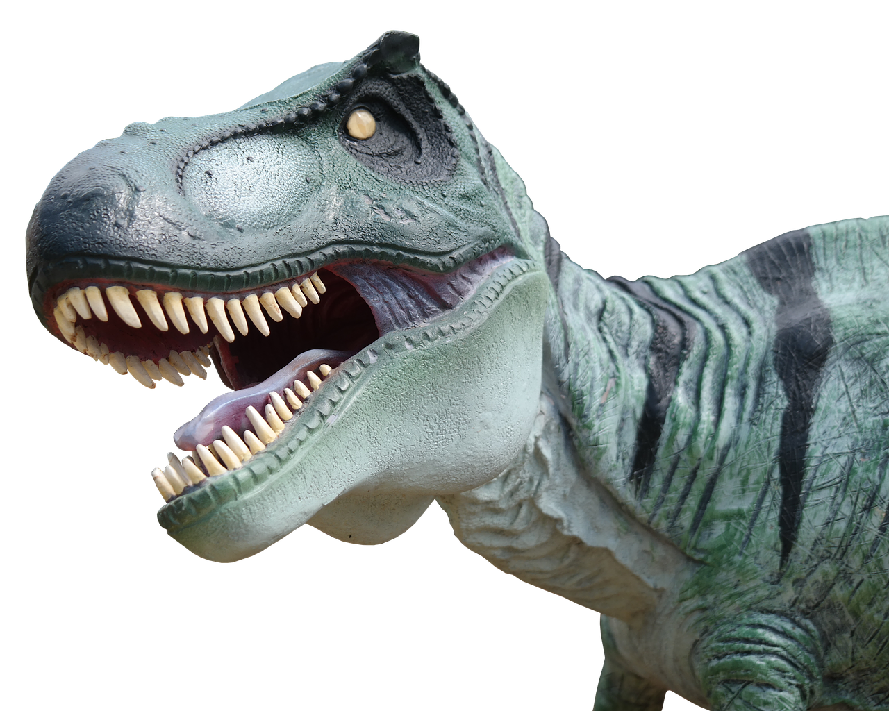 Dinozauras, Dino, Milžiniška Driežas, Kopija, Priešistoriniai Laikai, Hagbard, Plėšrūnas, Urtier, Ropliai, Galva