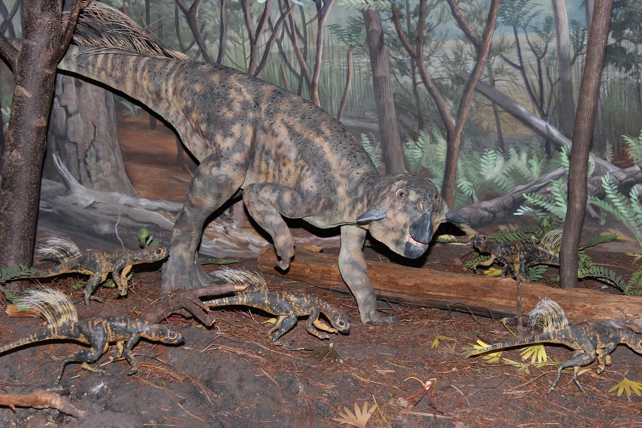 Dinozauras, Psittakozauras, Psittacosaurus Mongoliensis, Chordata, Ceratopsian Dinozauras, Išnykęs, Priešistorinis, Kretažinis Laikotarpis, Paleontologija, Žolėdis