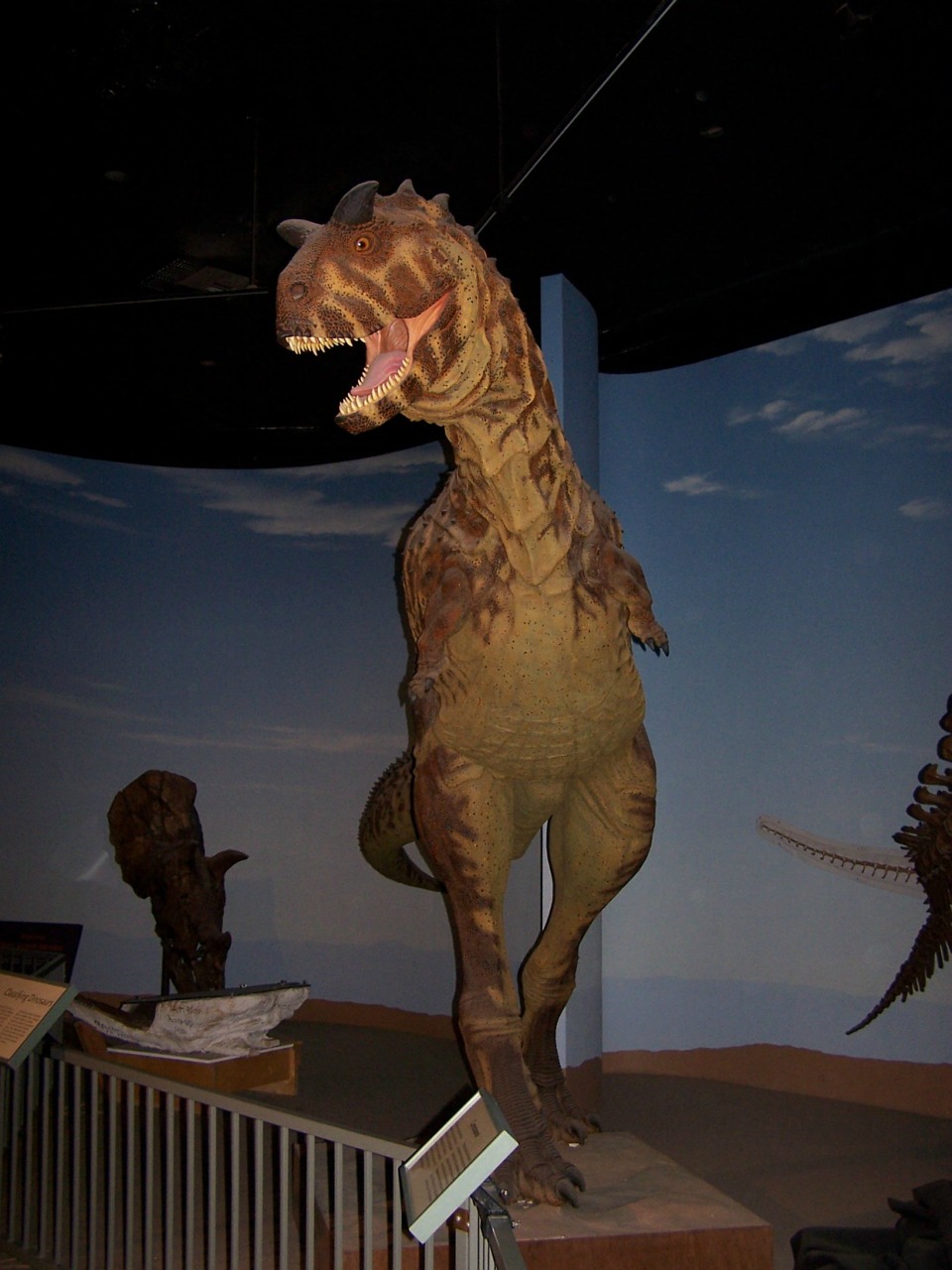 Dinozauras, Muziejus, Modelis, Paleontologija, Išnykęs, Priešistorinis, Nemokamos Nuotraukos,  Nemokama Licenzija