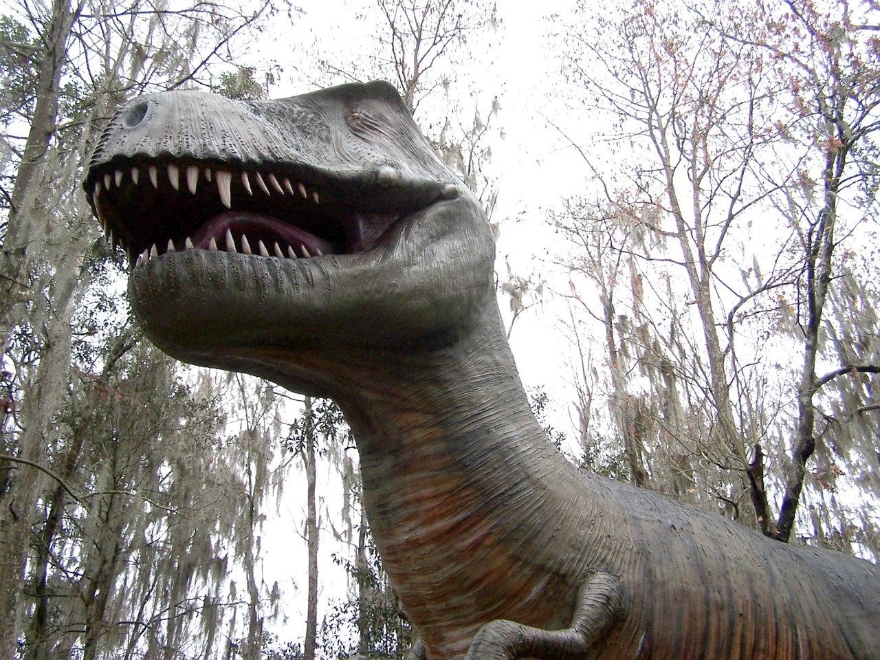 Dinozauras, Dinozaurų Pasaulis, Teminis Parkas, Florida, Pritraukimas, Jurassic, Išnykimas, Mėsėdis, Plėšrūnas, Ropliai