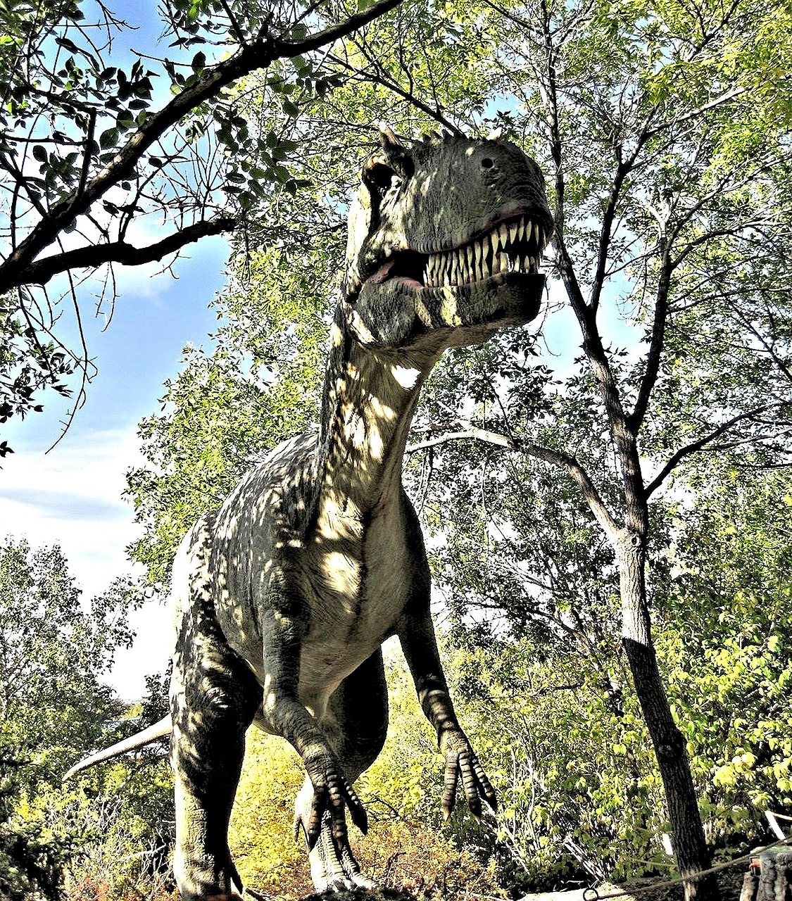 Dinozauras, Alberta, Kalgaris, Dinozaurų Parkas, Nemokamos Nuotraukos,  Nemokama Licenzija