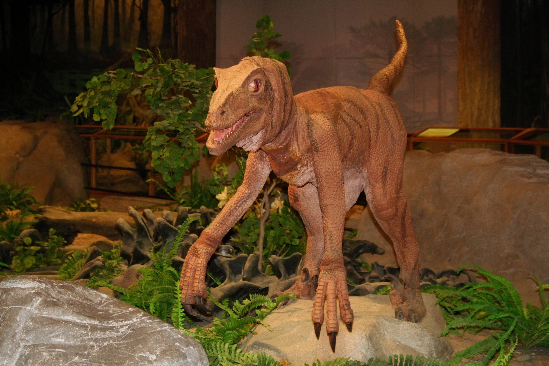 Dinozauras,  Priešistorinis,  Muziejus,  Las & Nbsp,  Vegas,  Žalias,  Didelis,  Dinozauras Muziejuje 2, Nemokamos Nuotraukos,  Nemokama Licenzija