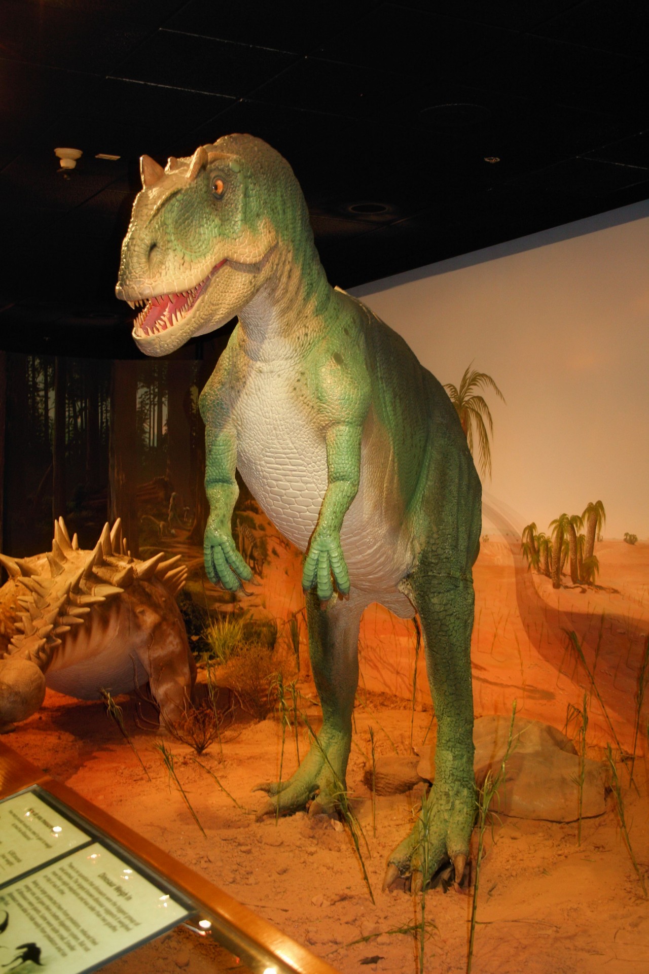 Dinozauras,  Priešistorinis,  Muziejus,  Las & Nbsp,  Vegas,  Žalias,  Didelis,  Dinozauras Muziejuje, Nemokamos Nuotraukos,  Nemokama Licenzija