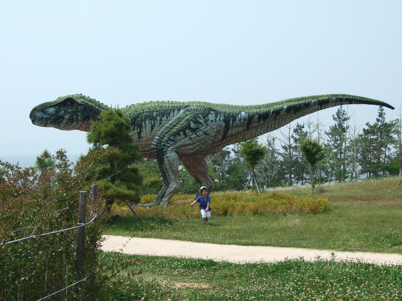 Dinozaurų Muziejus,  Dinozaurai,  Žolėdžių,  Mėsėdis, Nemokamos Nuotraukos,  Nemokama Licenzija
