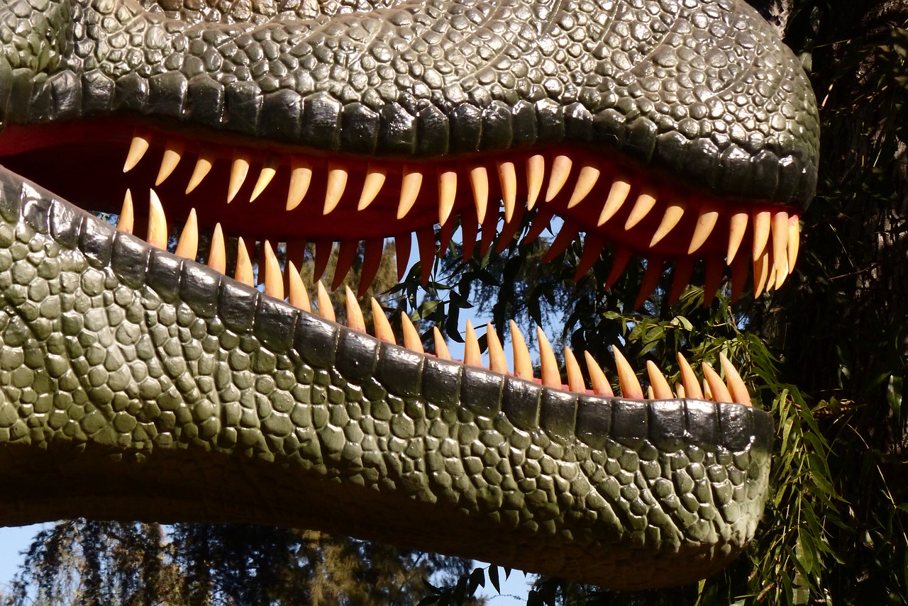 Dinozauriniai Dantys, Dantys, Ropliai, Iš Arti, Nemokamos Nuotraukos,  Nemokama Licenzija