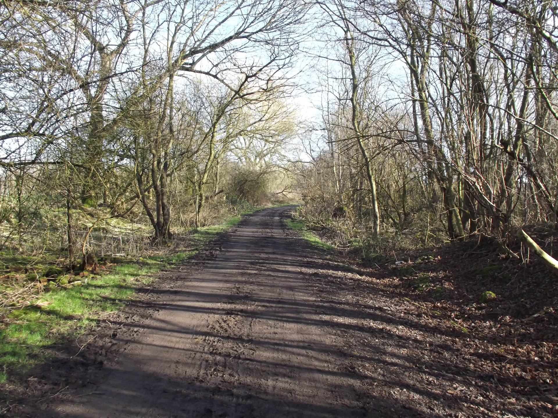 Way path. Грязевые тропы. Тропинки в городе грязь. Тропинка фото из грязи. Trail way Path.