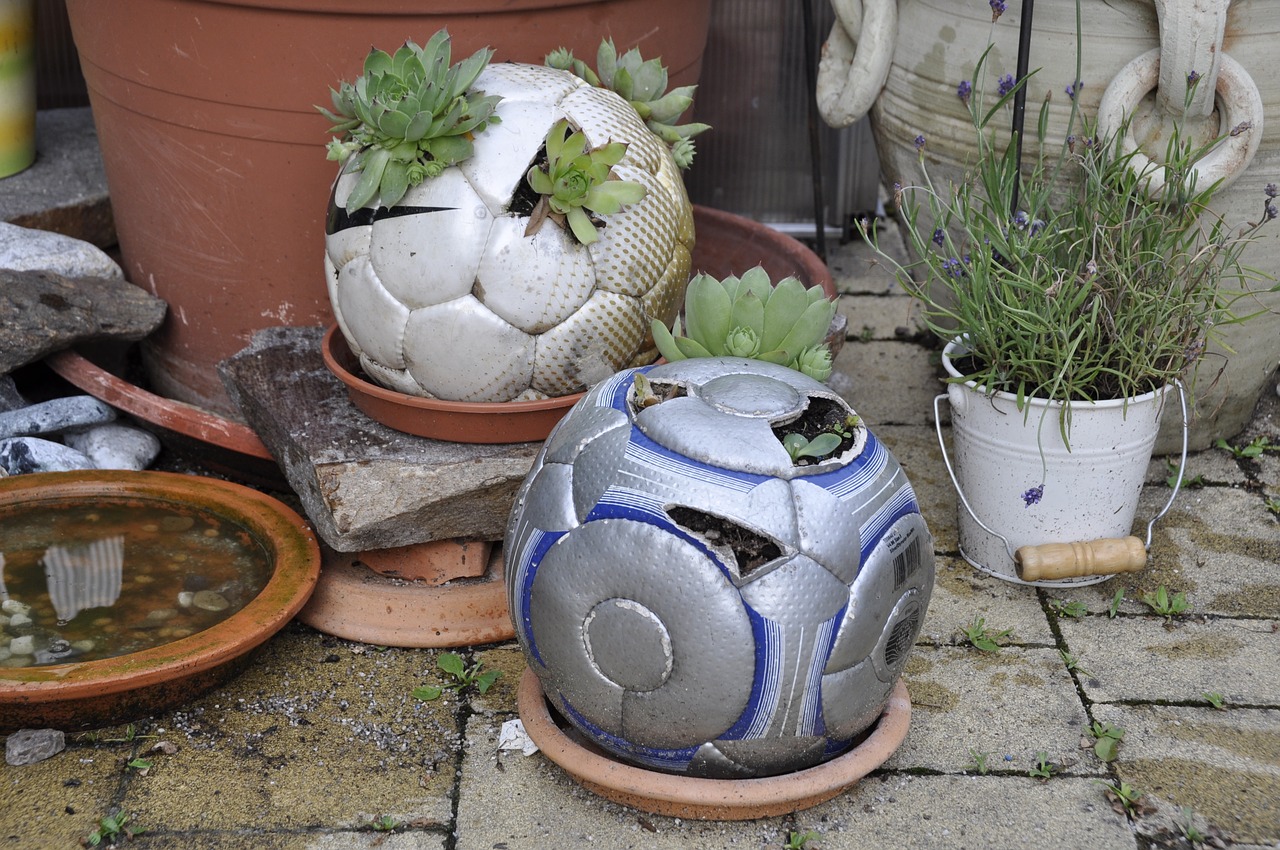 Diy, Futbolas, Augalas, Upcycling, Nemokamos Nuotraukos,  Nemokama Licenzija