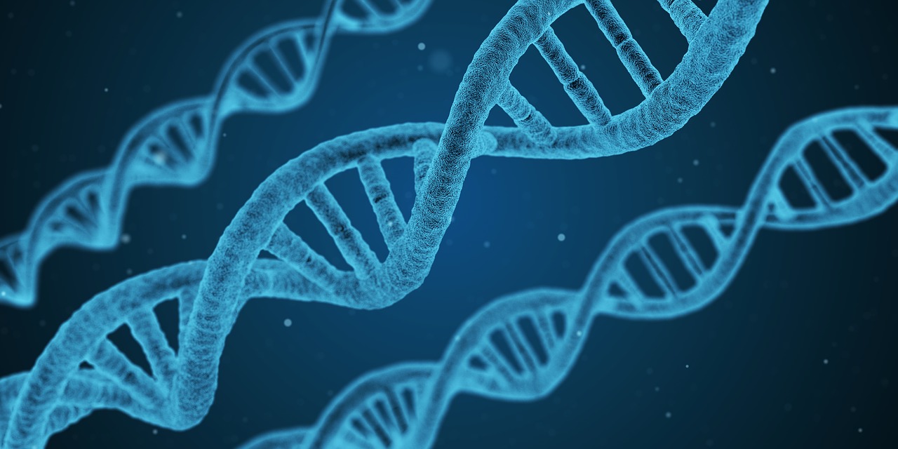 Dna, Eilutė, Biologija, 3D, Biotechnologija, Chemija, Medicina, Tyrimai, Medicinos, Mokslas