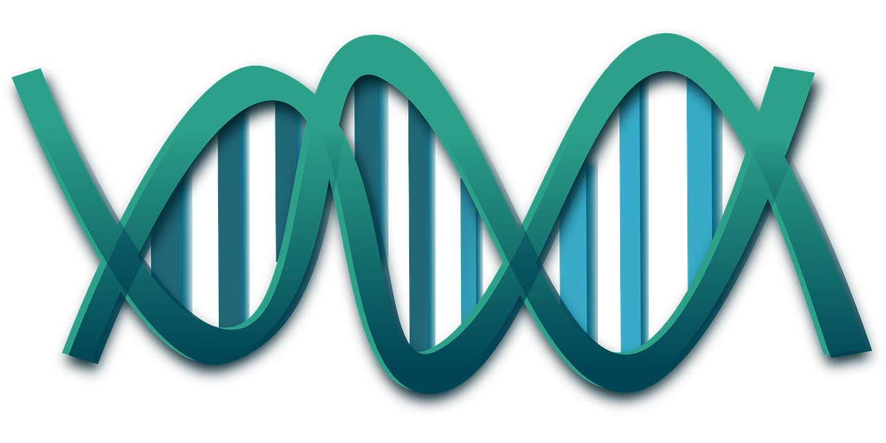 Dna, Spiralė, Genai, Mokslas, Rna, Molekulės, Biologija, Nemokama Vektorinė Grafika, Nemokamos Nuotraukos,  Nemokama Licenzija