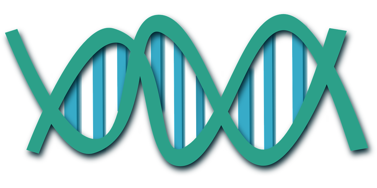 Dna, Spiralė, Mokslas, Biologija, Tyrimai, Medicina, Medicinos, Molekulė, Chemija, Biotechnologija