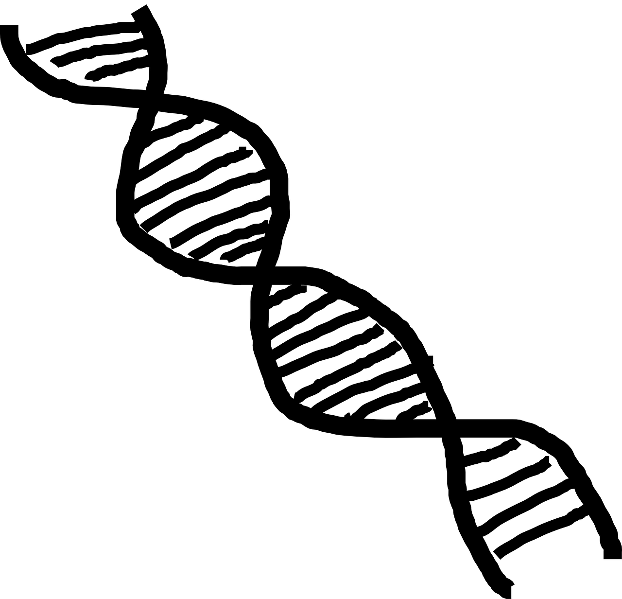 Dna, Dviguba Spiralė, Spiralė, Mokslas, Medicina, Biologija, Tyrimai, Chromosoma, Medicinos, Genetika