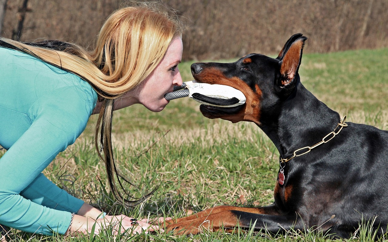 Dobermanas, Šuo, Žaidimas, Blondinė Moteris, Meilė, Nemokamos Nuotraukos,  Nemokama Licenzija