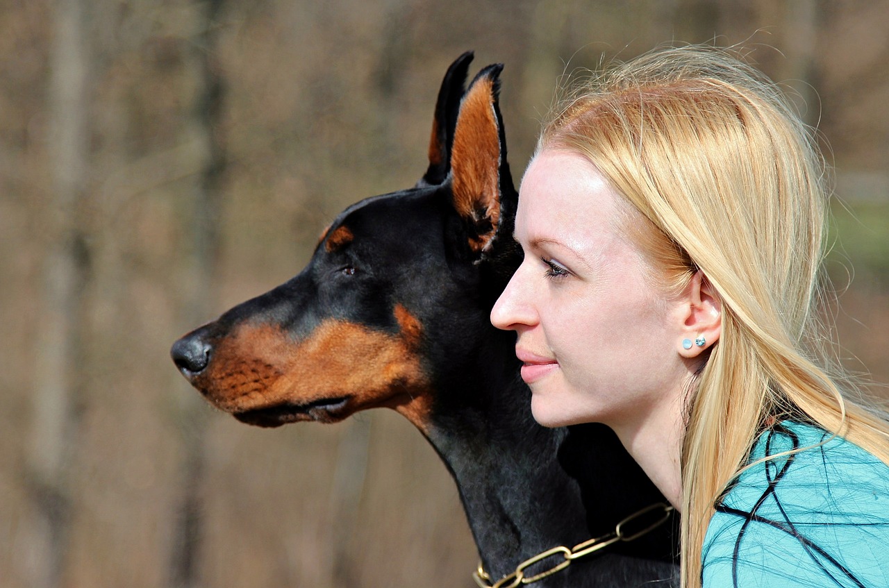 Dobermanas, Šuo, Blondinė Moteris, Veido, Portretas, Nemokamos Nuotraukos,  Nemokama Licenzija