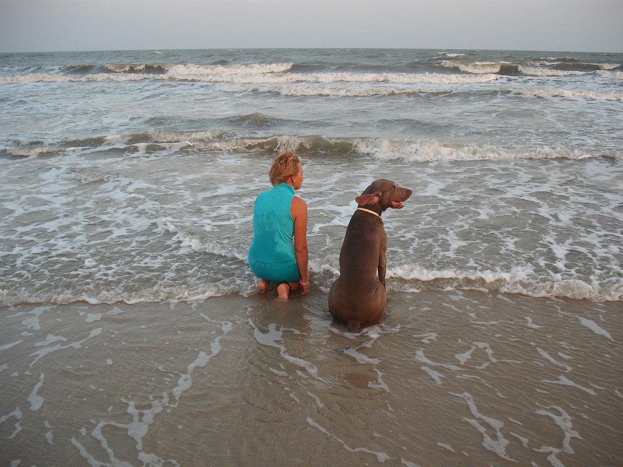 Šuo, Moteris, Draugystė, Pora, Weimaraner, Vanduo, Meilė, Sėdi, Atsipalaidavimas, Gyvūnas