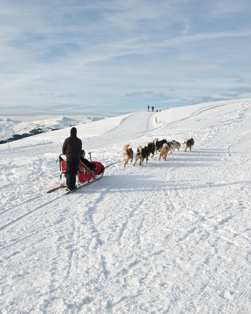 Šuo, Kelnės, Sniegas, Kalnas, Nemokamos Nuotraukos,  Nemokama Licenzija