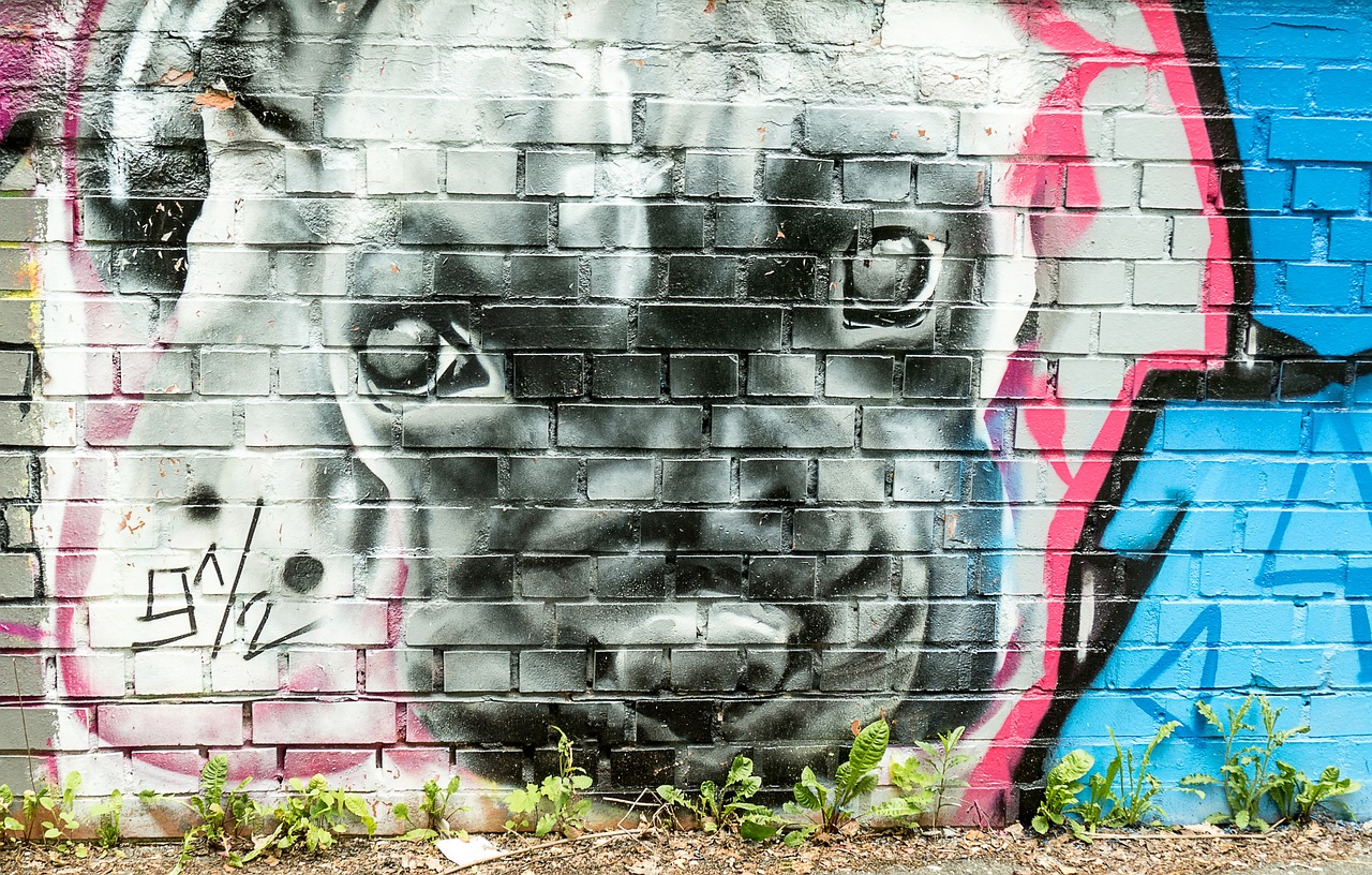 Šuo, Fjeras, Grafitinis, Menininkai, Menas, Dažymas, Siena, Lazdelės Grafiti, Dažytos, Graffiti Kunst