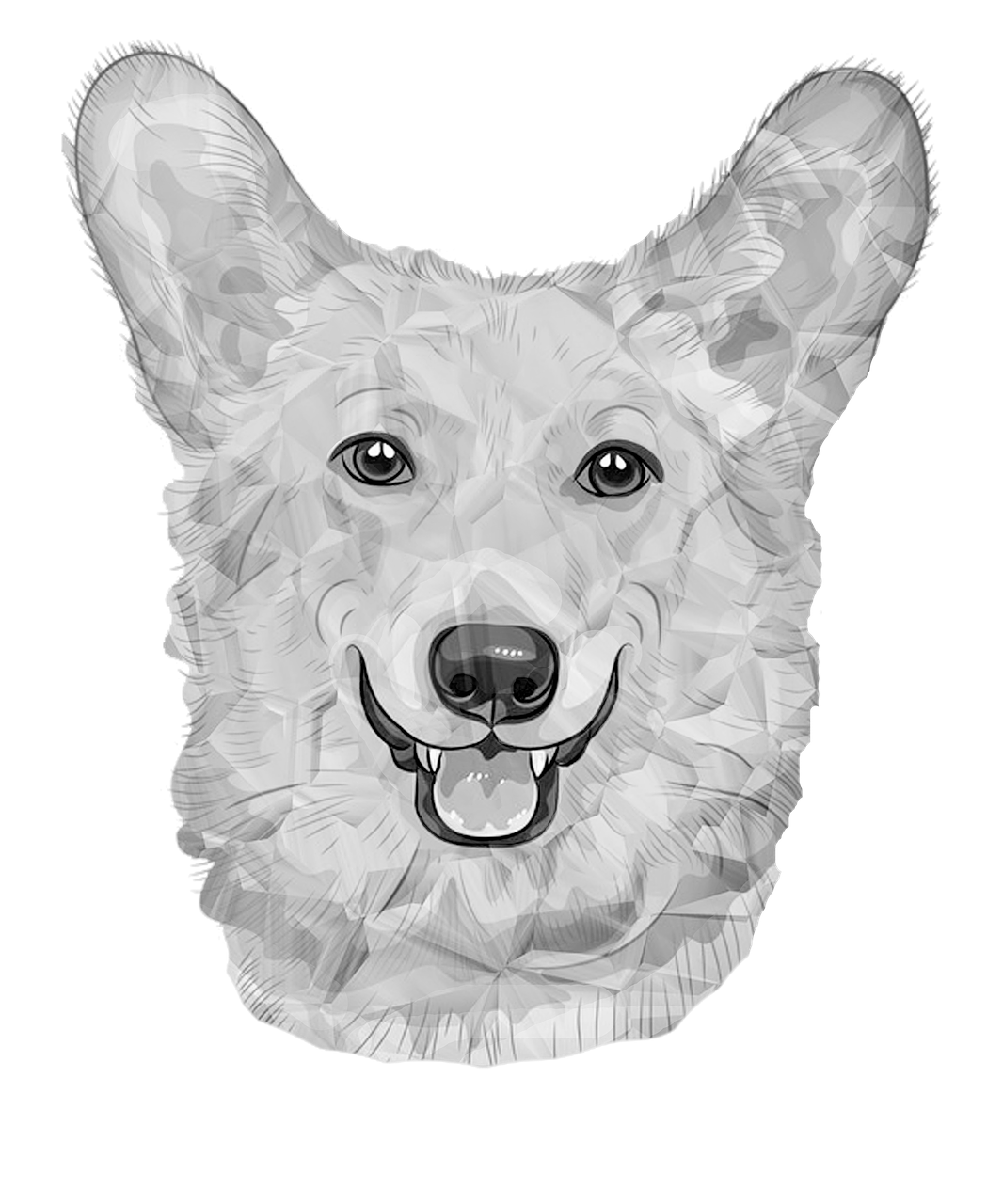 Šuo,  Vokiečių Šuo,  Baltieji Šunys,  Juoda Ir Balta,  Poli,  Trikampio Formos,  3D Forma,  Šuo Atsargos,  Šuo Wiki,  Šuns Vaizdas