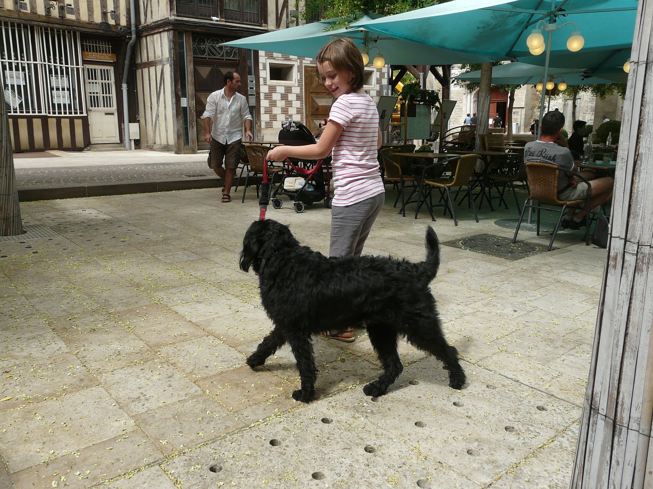 Šuo, Gyvūnas, Naminis Gyvūnėlis, Labradoodle, Juoda, Mergina Su Šunimi, Vaikas Su Šunimi, Mergina, Jaunas, Vaikas