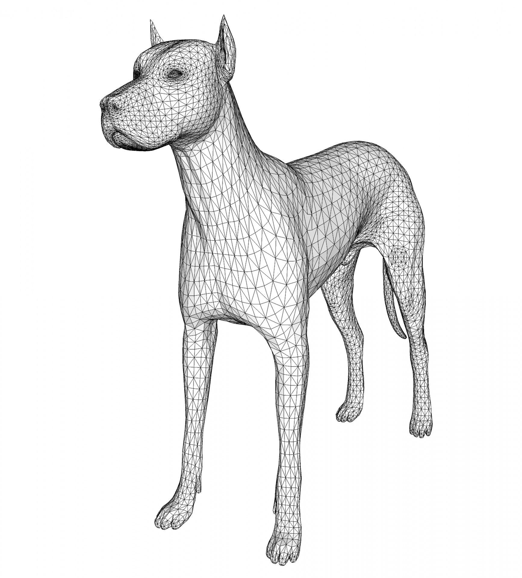3 d собаки. Собака трёхмерная Графика. Собака 3д. Трёхмерная Графика изображение собаки. 3д модель собаки для рисования.