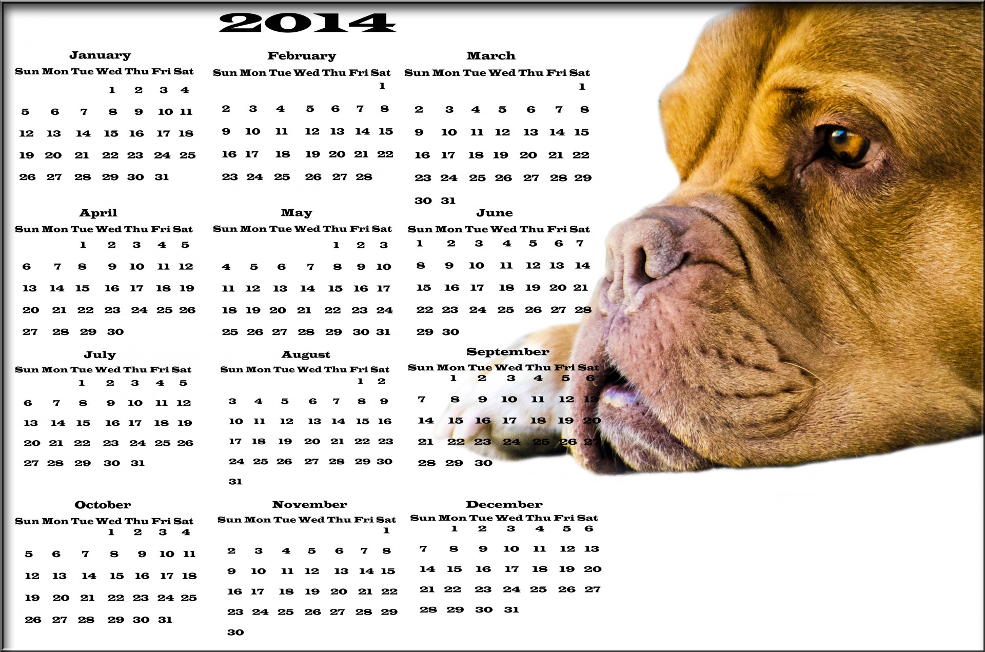 2014,  Kalendorius,  Vektorius,  Naujas,  Data,  Stalas,  Liepa,  Pavasaris,  Ruduo,  Kovas