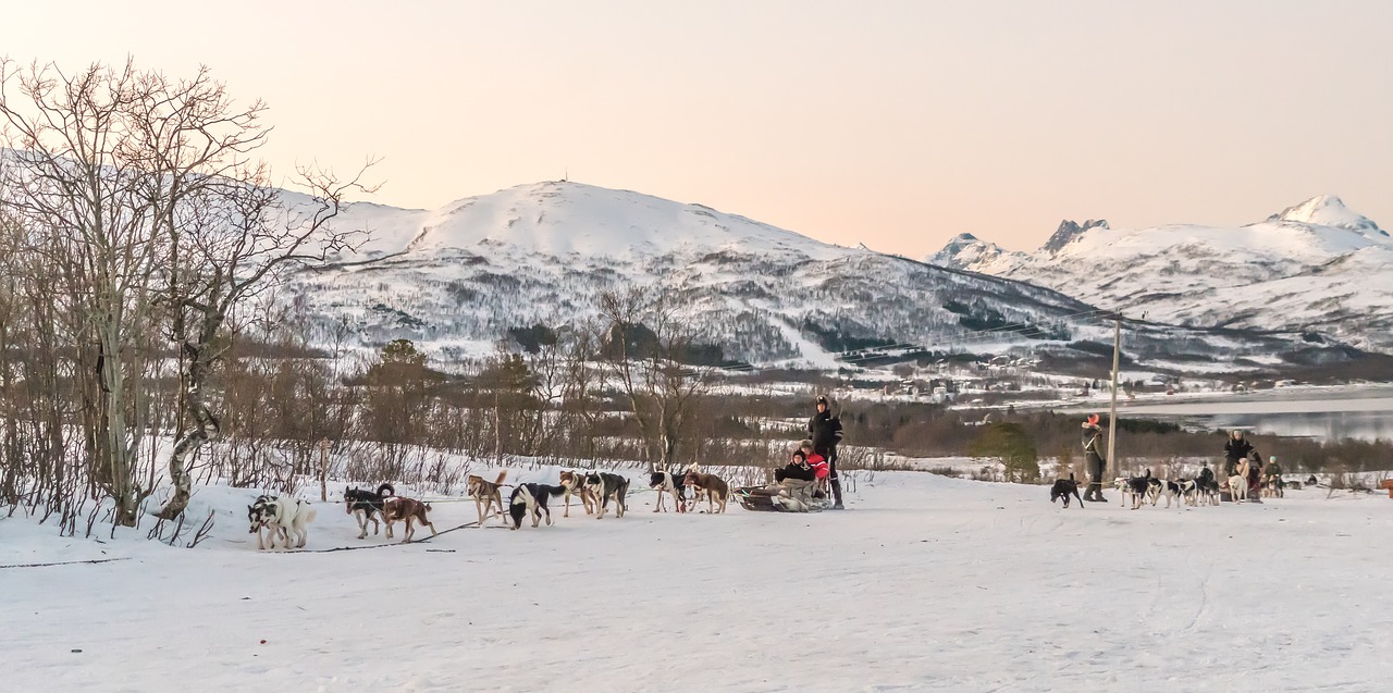 Šunų Vilkimas, Kirkenes, Norvegija, Kalnai, Kraštovaizdis, Sniegas, Gamta, Žiema, Skandinavija, Europa