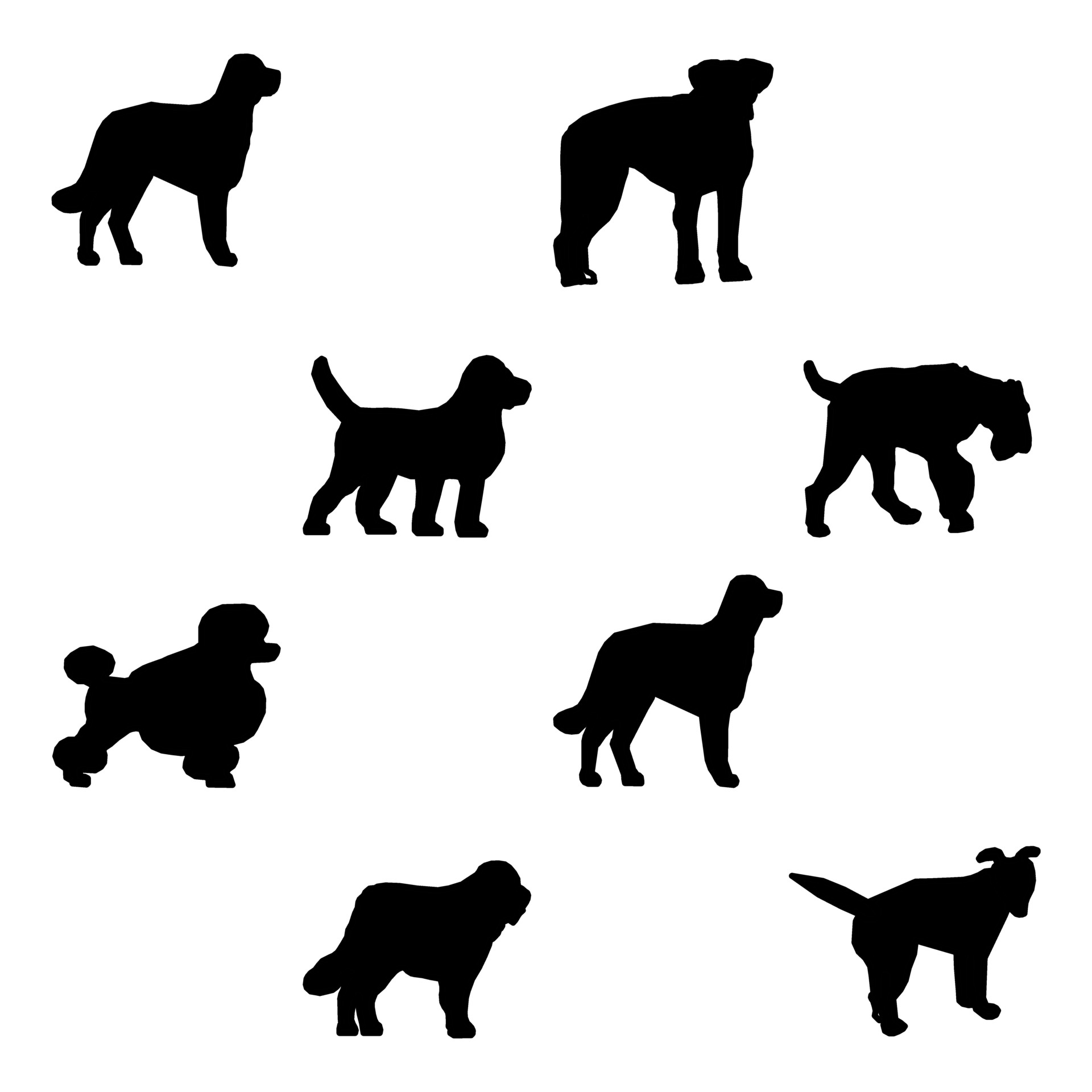Šuo,  Piktograma,  Naminis Gyvūnėlis,  Veislė,  Uodega,  Taksas,  Žvėrys,  Skalikas,  Ženklas,  Simbolis