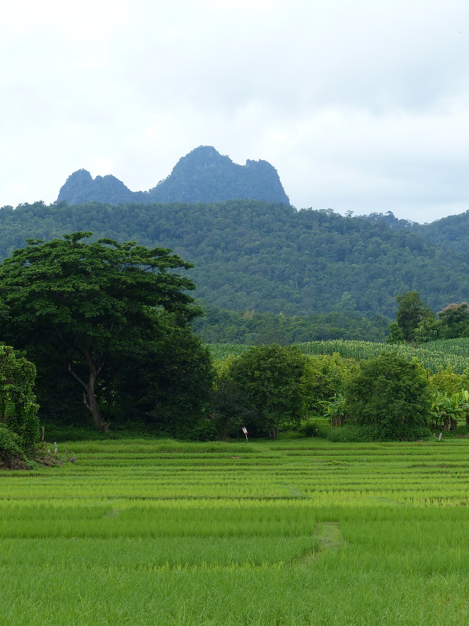 Doi Tao, Kalnas, Lampang, Tailandas, Nemokamos Nuotraukos,  Nemokama Licenzija