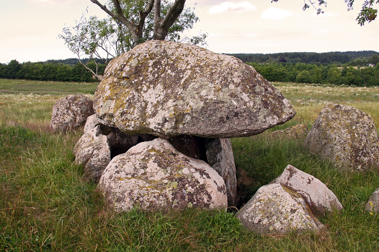 Dolmen, Kiauliena, Akmenys, Senovės, Akmens Amžius, Paminklas, Denmark, Stenvadas, Nemokamos Nuotraukos,  Nemokama Licenzija