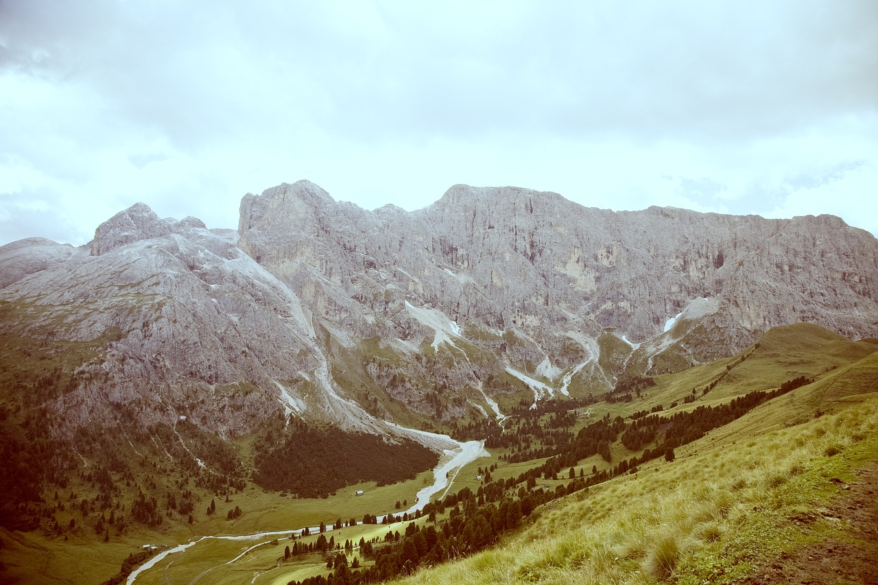 Dolomitai, Italy, Žygiai, Šventė, Kalnai, South Tyrol, Miškas, Kraštovaizdis, Gamta, Alpių Gėlės