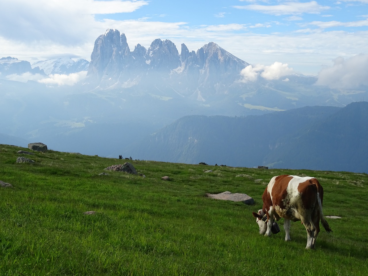 Dolomitai, Panorama, Karvė, Nemokamos Nuotraukos,  Nemokama Licenzija